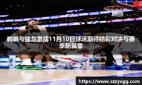 鹈鹕与猛龙激战11月10日球迷期待精彩对决与赛季新篇章